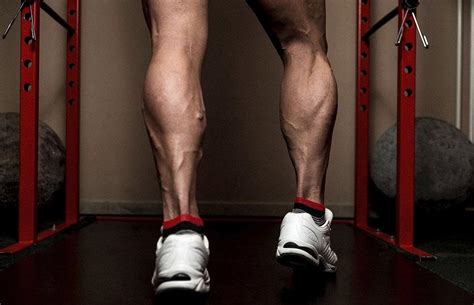 Как накачать «упрямую» голень | MuscleFit