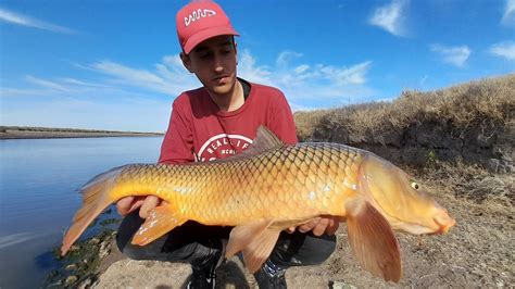 TERRIBLE BESTIA EN EL ARROYO Pesca Y Aventura Puente El Silencio