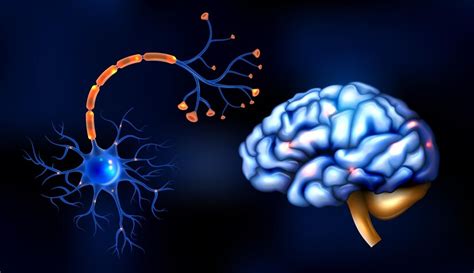The Biology Of Mind I