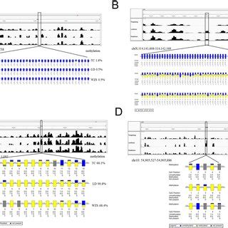 Validation Of Medip Seq Data By Bisulfite Sequencing Pcr A A Low