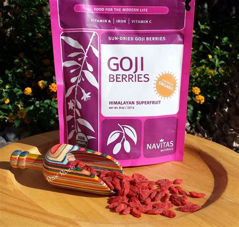 Raw Vegan Recipes By Rocki Goji Berries Superfood