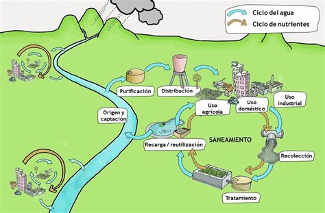 Conociendo Hidalgo Pasos Del Ciclo Urbano Del Agua Que Cumplen