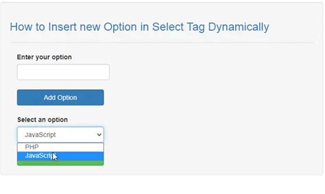 How To Insert New Option In Select Tag Dynamically In JavaScript