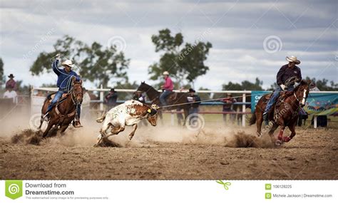 Two Cowboys Roping A Calf At A Rodeo Editorial Image Image Of