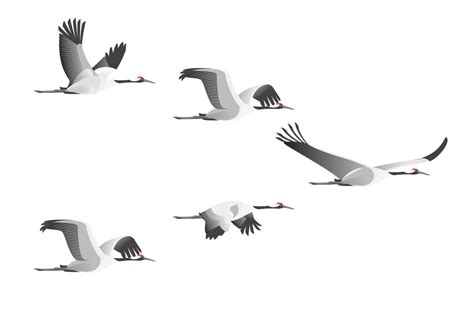 Animal Migration Cartoon