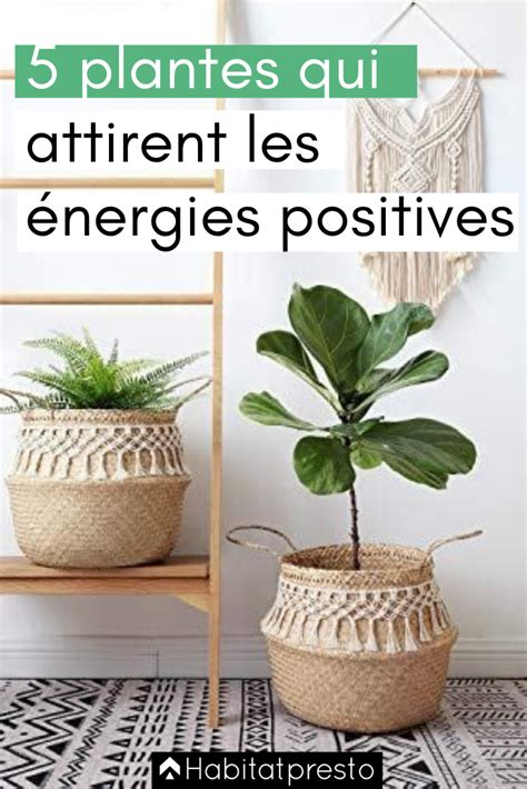 Plantes Qui Attirent Les Nergies Positives Chez Vous Plante Deco