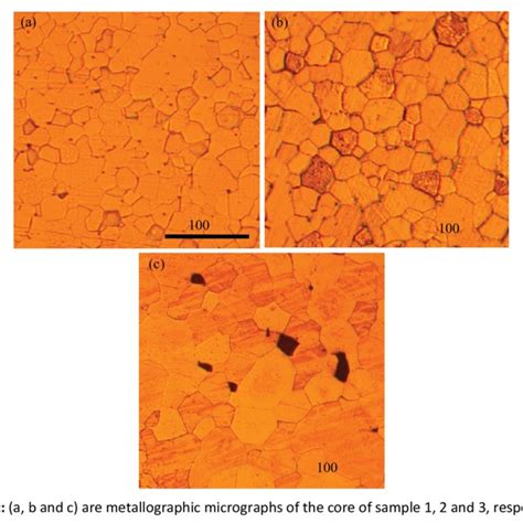 Shows The Microstructure Of The Microstructure Of The Tungsten Alloy Download Scientific