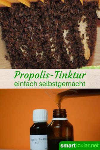 Heilsame Propolis Tinktur Selbst Herstellen Smarticular