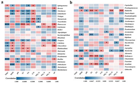 Spearman Correlation Heatmaps Between The Top 25 Most Prevalent Genera