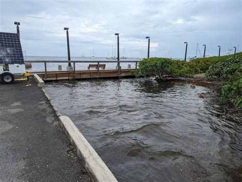 King Tides 2024 South Carolina Usa Arlene Sashenka