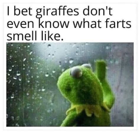 20 Crazy Memes Will Blow Your Mind Barnorama