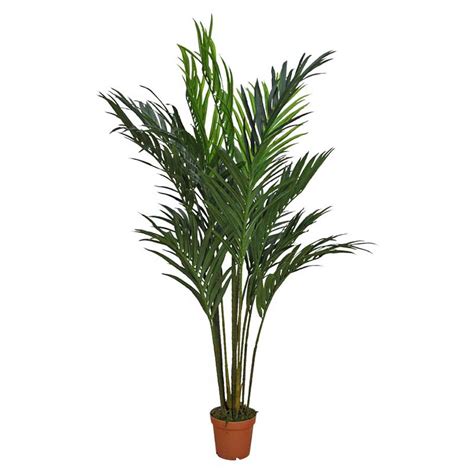 Artificial Silk Palm Tree Tropical Decor Plant Potted Indoor Outdoor Buy Tropical Decor Plant