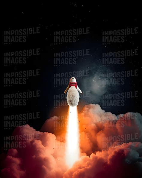 A mouse rocket blasting off - Impossible Images - Unique stock images ...