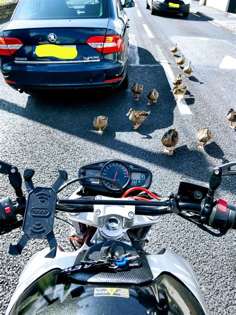 Found the reason behind the massive traffic on the northbound : r/ireland