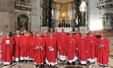 Bispos De Mato Grosso Se Encontram Papa No Vaticano S Not Cias