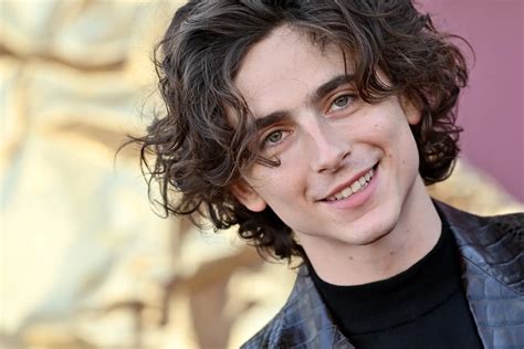 Timoth E Chalamet Ouviu Horas De Can Es In Ditas De Bob Dylan