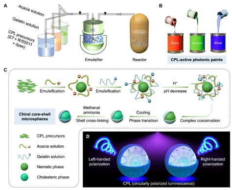 中国科学技术大学 Biomimetic And Nanochemistry Lab Home 2023