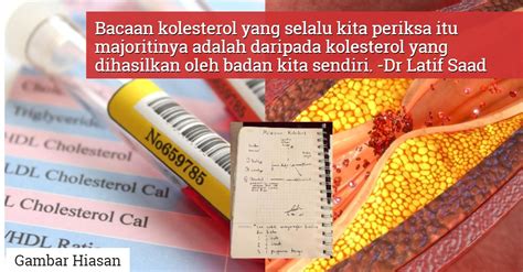 Kolesterol Dalam Badan Banyak Dihasilkan Badan Sendiri Doktor Kongsi