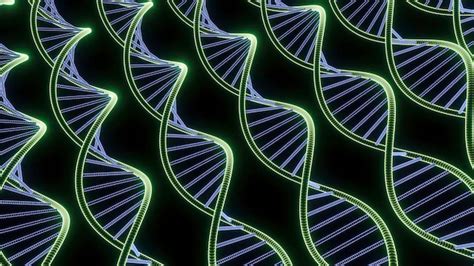 Bewegende Genetische Spiralen Ontwerpen Vele Lijnen Van Genetische Dna