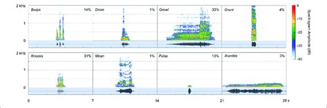 Spectrograms For The Eight Call Types Produced Under Water By Two Download Scientific Diagram