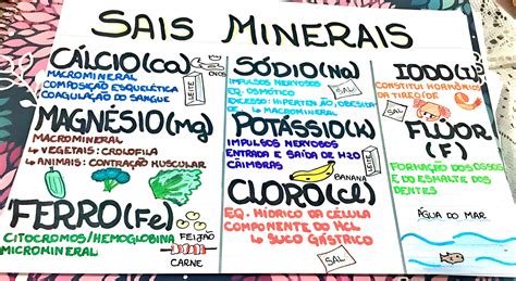 Mapa Mental Sobre Sais Minerais Maps Study