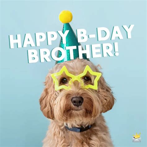 Funny Happy Birthday Brother Images - massage for happy birthday