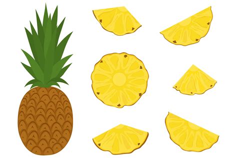 Pineapple vector. Pineapple fruits clipart. Pineapple SVG By ...