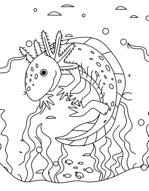 Coloriages Axolotl Coloriages Gratuits Imprimer