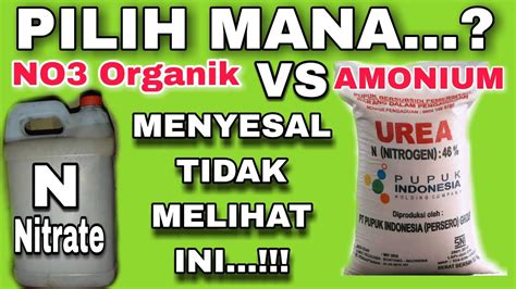 PETANI MENYESAL BARU LIHAT SEKARANG CARA MEMBUAT PUPUK UREA NITRATE