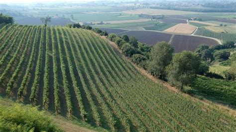 Sieman: vini e birre sostenibili dei fratelli Filippini | Rav&