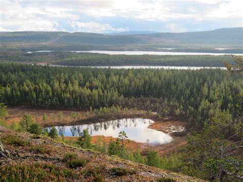 Jokkmokk Sweden: the cultural heart of Lapland - Backpack Adventures