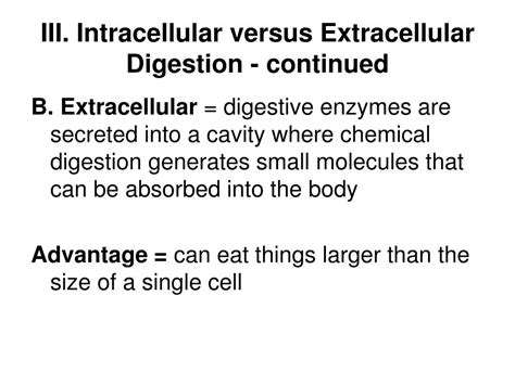 Ppt Feeding And Digestion Part 1 Powerpoint Presentation Free Download Id 2882524