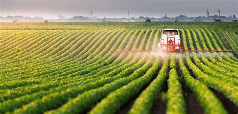 How Agricultural Spray Oil Can Improve Farming Operations 3 Uses For