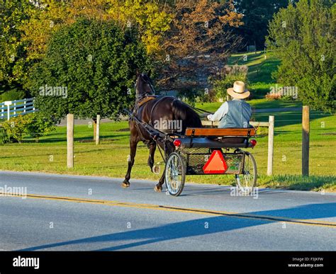 Amish horse buggy hi-res stock photography and images - Alamy