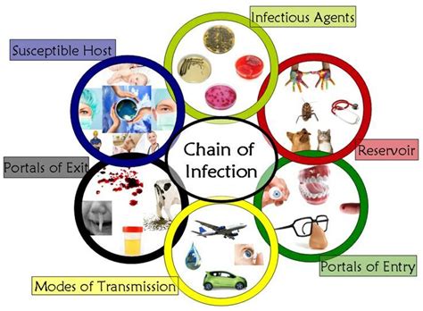 Diagram Of Chain Of Infection For Nurse Aides