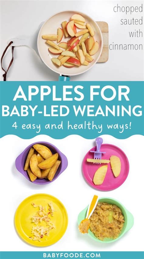 Best First Foods For Baby Purees Finger Food And Baby Led Weaning