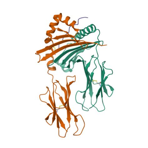 RCSB PDB 2FSE Crystallographic Structure Of A Rheumatoid Arthritis