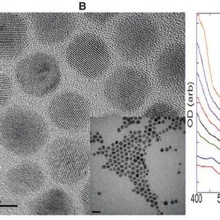 Ultrafast Carrier Dynamics In CdS CdSe Core Shell Quantum Dot