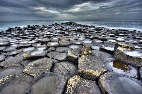 Fossil Huntress Hexagonal Columns Cooling Basalt