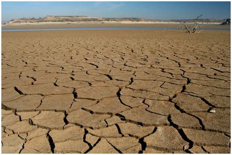 Las Peores SequÍas Del Mundo Y Sus Consecuencias