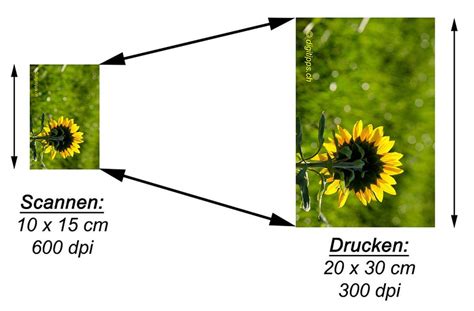 Mit welcher Auflösung Fotos oder Bilder einscannen Optimal Scannen