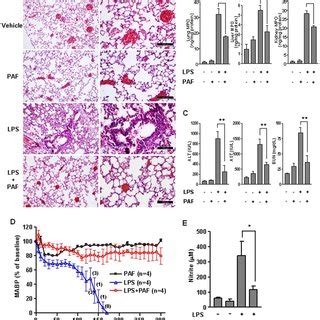 Effects Of Paf On Lps Induced Inflammatory Cytokine Production A