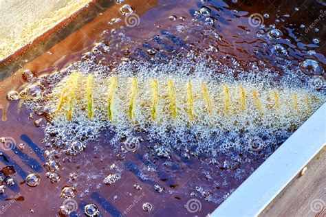 Deep Frying Tornado Potatoes Potatoes Cut Into A Spiral And Fried