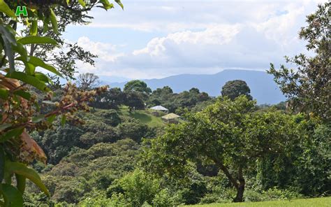 Parque Arqueológico Alto de los Ídolos Isnos Huila Magnífica