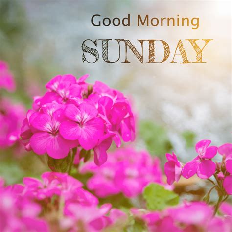 Good Morning Sunday Photos