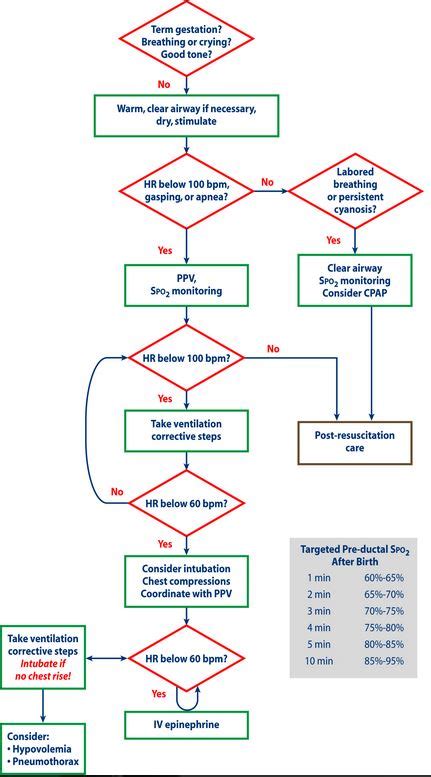 Nrp Neonatal Resuscitation