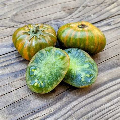 Emerald City Dwarf Tomato Meraki Seeds