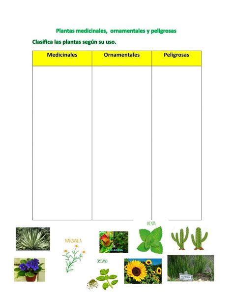 Actividad Interactiva De Las Plantas Para Primaria Puedes Hacer Los