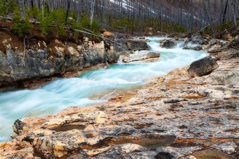 Marble Canyon in Kootenay National Park, British Columbia Stock Image - Image of forest ...