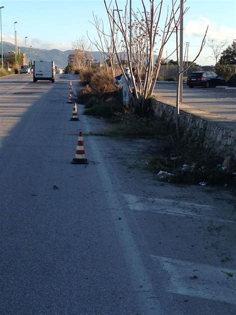 Manfredonia Operazioni Di Pulizia E Ripristino Decoro Urbano In Corso